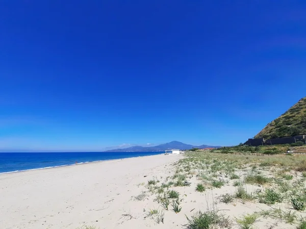 Immagine per l'articolo Le Spiagge del Cilento per Famiglie e Amici a 4 Zampe: Guida Completa