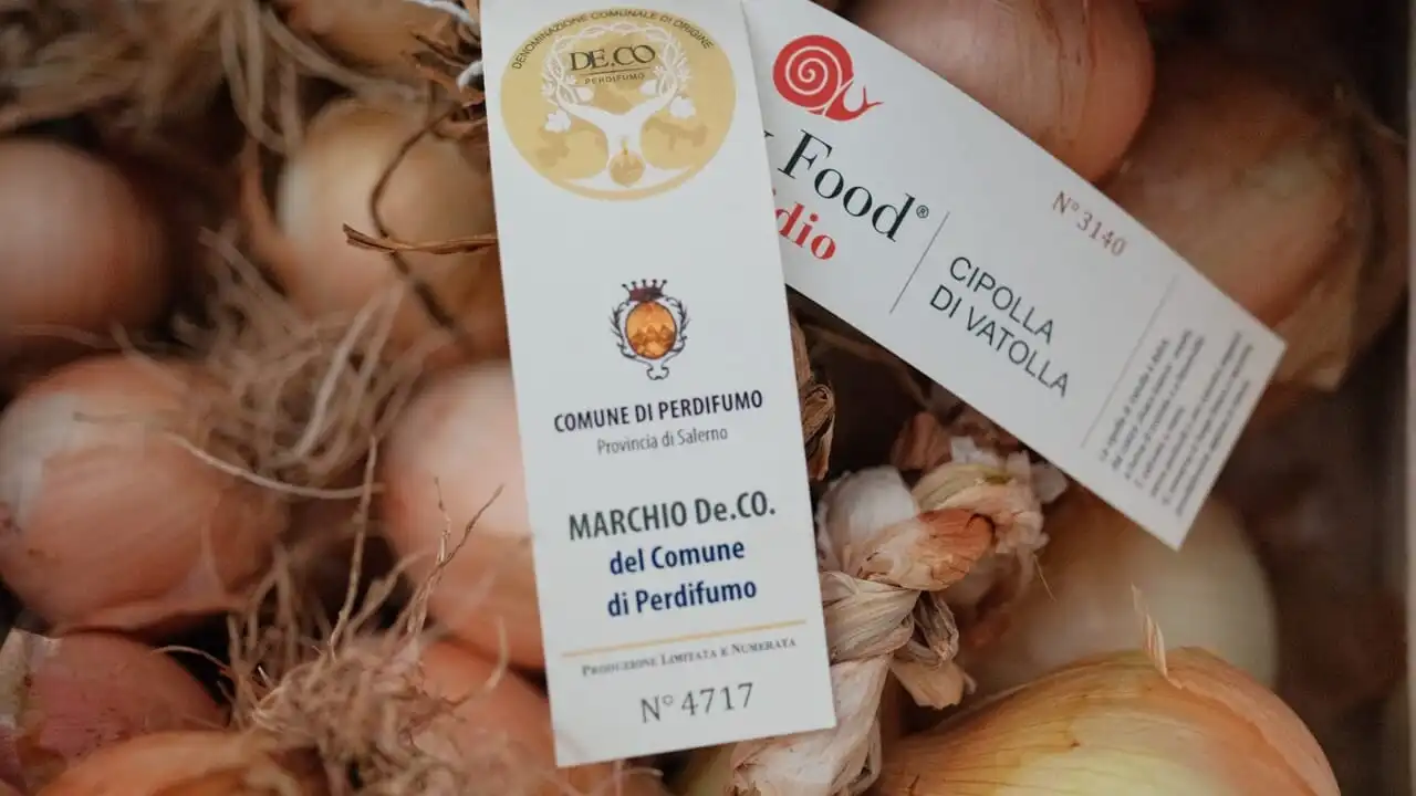 Immagine per Festa della Cipolla